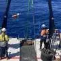 Eighteen years of whale call research reveals key habitat of mysterious species