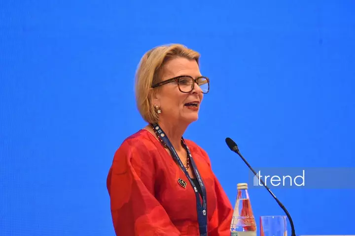 Gənclər siyasətlərin formalaşmasında kömək etməlidir, deyir UNESCO-nun müavini