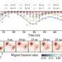 Experiment shows when quantum 'cat' states stop bouncing back