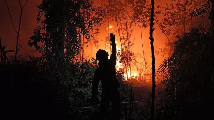 Who's to blame for the toxic smog choking South East Asia?
