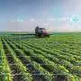 Researchers study how AI could improve weed management