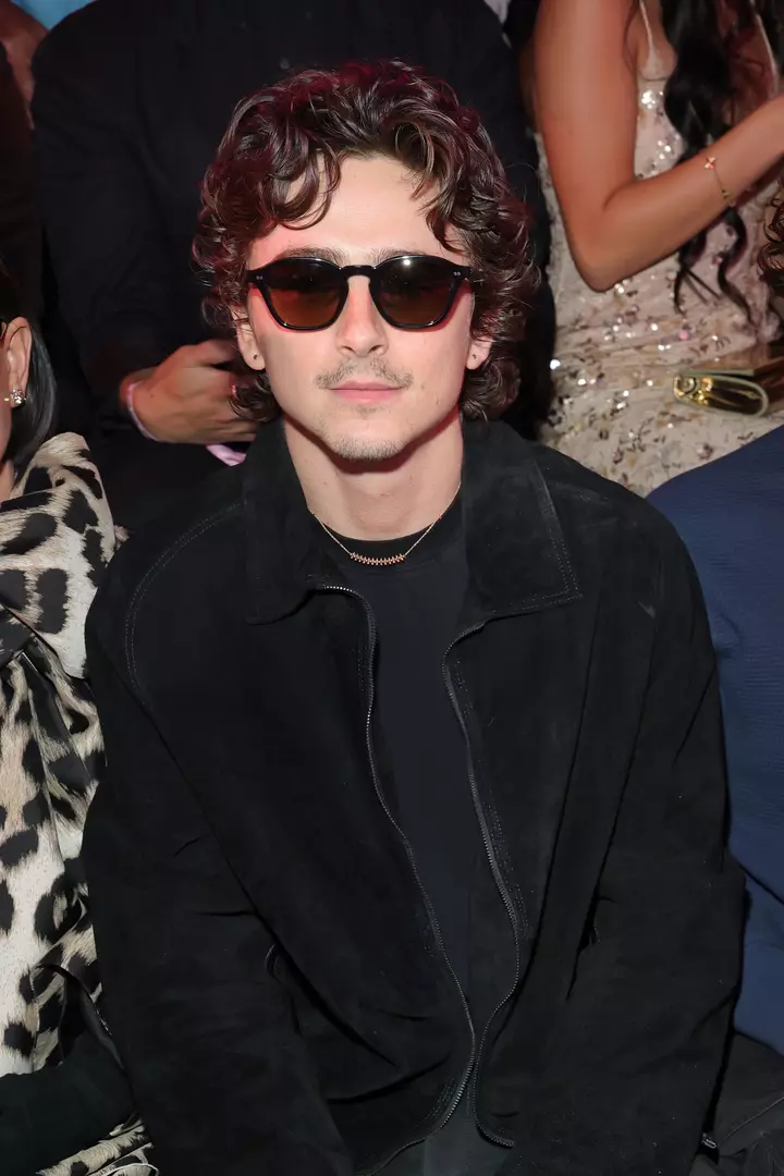 Timothee Chalamet’s Hair Is Finally Back to Normal