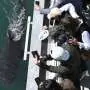 South Korea launches new bid to guide crowd-pulling shark to sea
