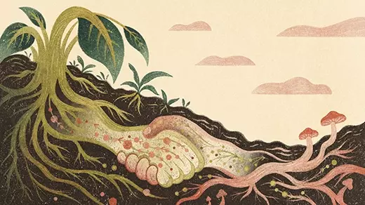 How Do Fungi Keep the Planet Healthy?
