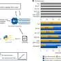 Chemists develop AI tool to convert human ingenuity into life-enhancing enzymes