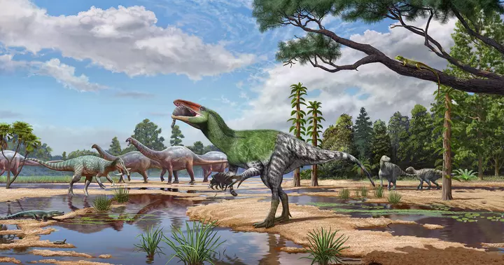 Fossil overlooked for 100 years ID'd as new dinosaur species