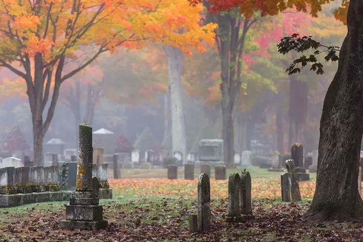 Why You Should Spend More Time in Graveyards