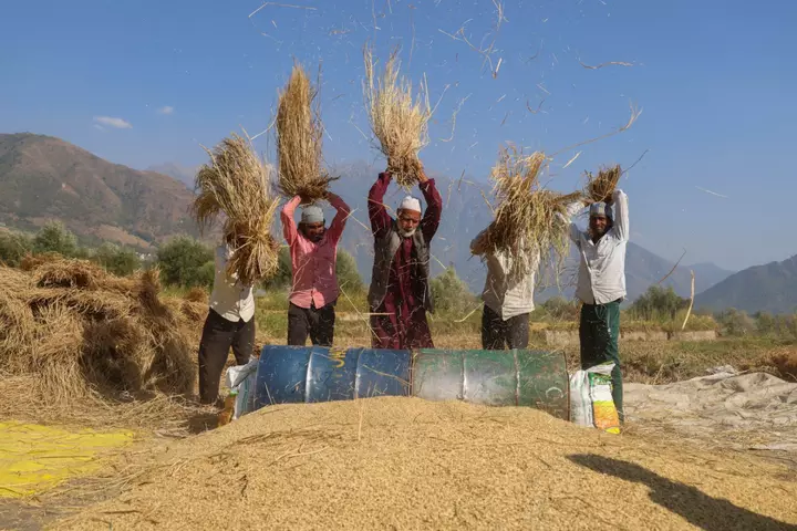 How El Niño could spark a worldwide food crisis