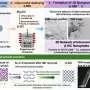Liquid metal dealloying creates nanoporous silicon carbide at just 800°C