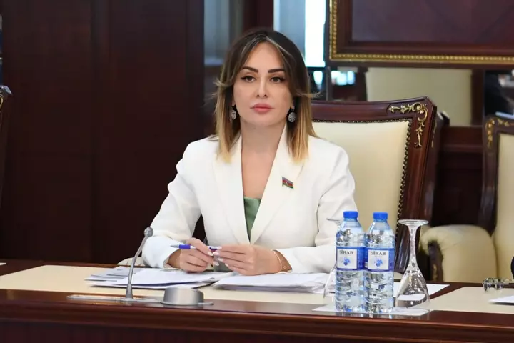 Füzuli Şəhəri Günü Zəfərimizi əbədiləşdirən əlamətdar hadisədir