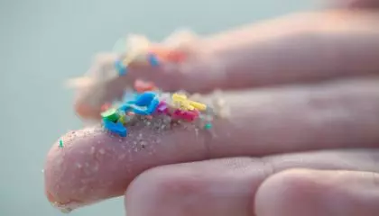 Microplastics Have Been Linked With Myriad Human Health Problems. Scientists May Have Finally Figured Out How They Harm the Body