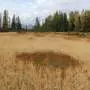 Satellite model finds Alpine peatlands may be smaller than official maps show