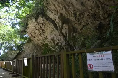 Premium tour plan to Okinawa sanctuary shelved following local opposition