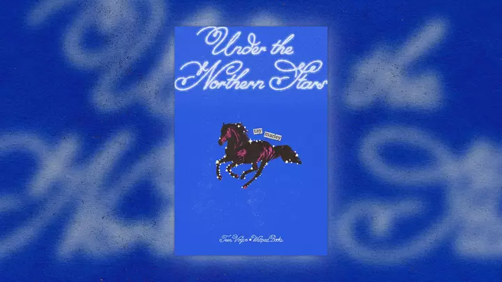 Under the Northern Stars by Tay Marley