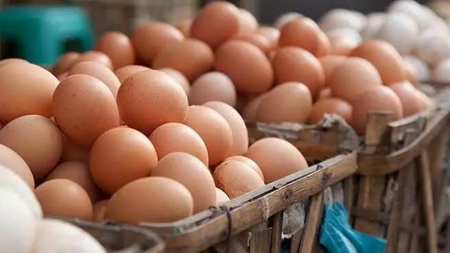Azerbaijan's egg self-sufficiency reaches 104% as domestic production exceeds demand